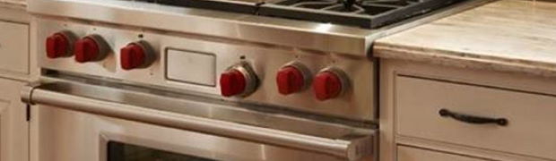 Dual Fuel Wolf Range Repair Denver