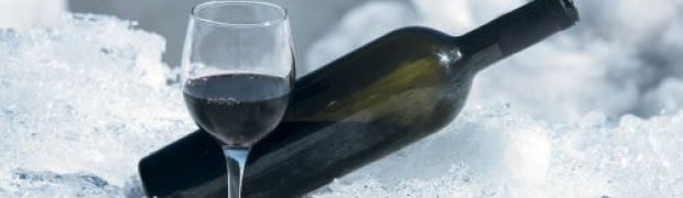 frozen wine bottle