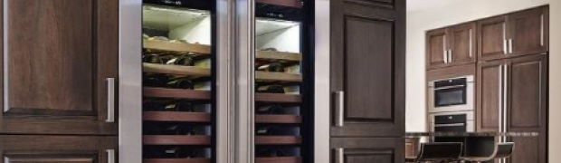 column double door wine storage