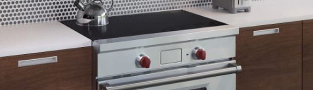 Wolf Induction Range Repair Denver