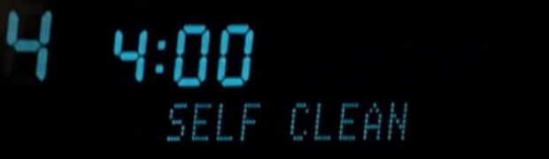 Self cleaning mode in wolf ovenn